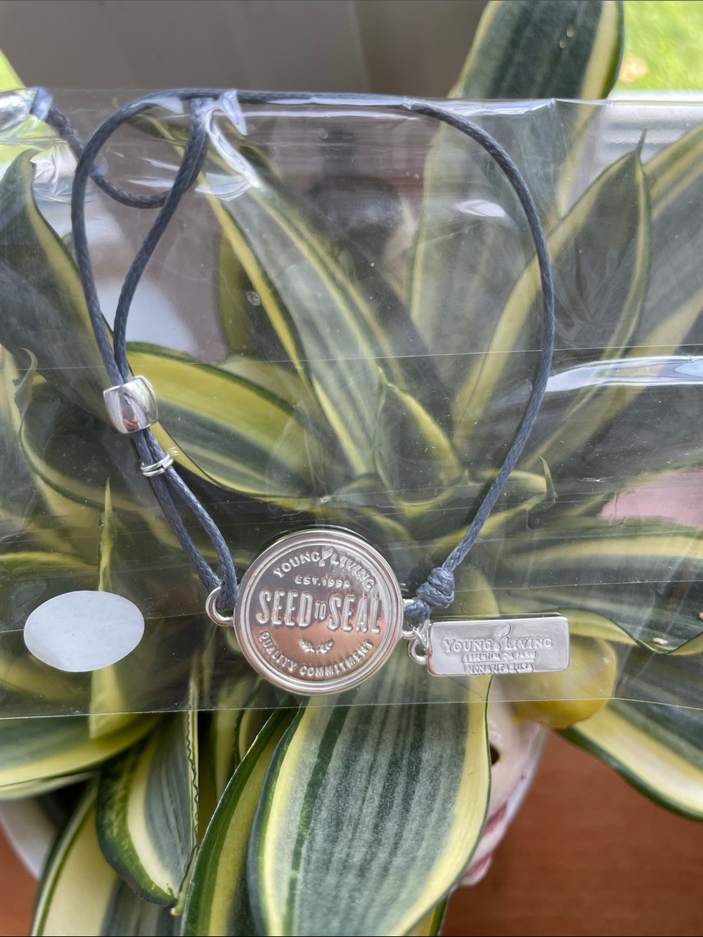Young Living Silver Seed to Seal Charm Bracelet with Black Cord